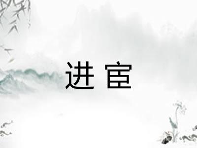 进宦