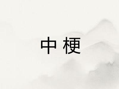 中梗