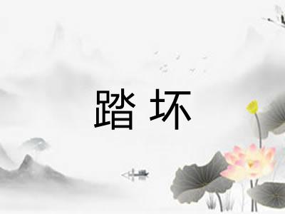 踏坏