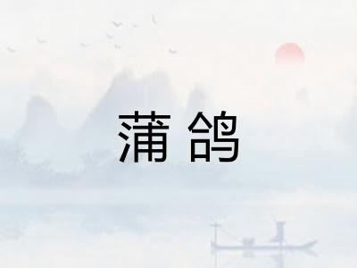 蒲鸽