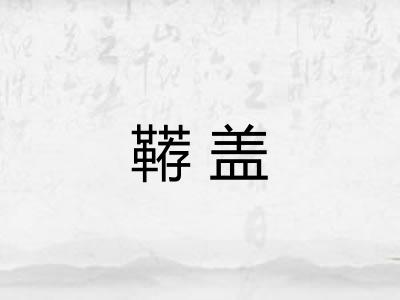 鞯盖
