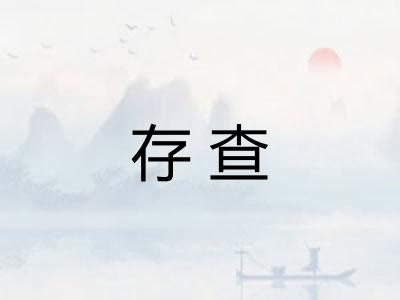 存查
