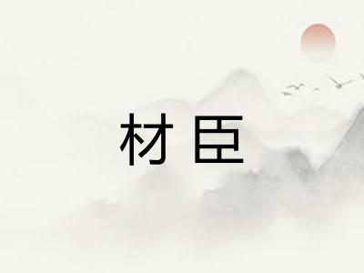 材臣