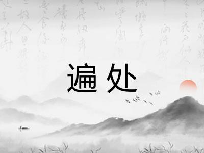 遍处