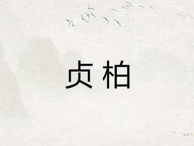 贞柏