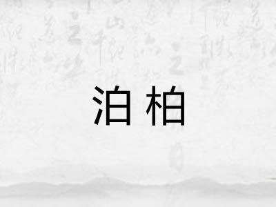 泊柏
