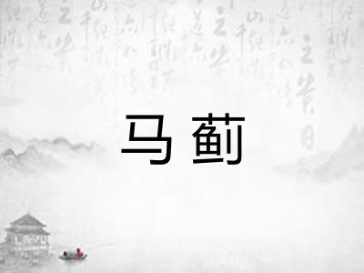 马蓟