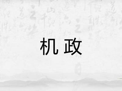 机政
