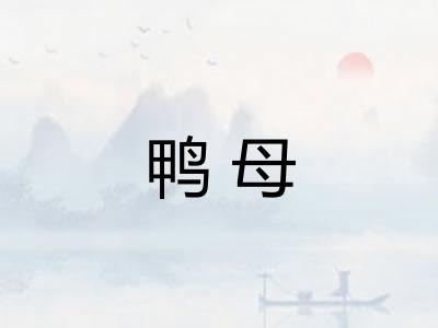 鸭母