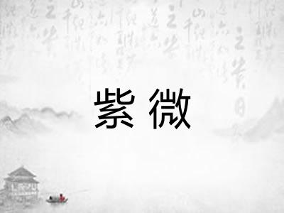 紫微