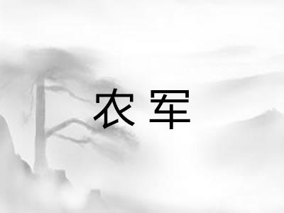 农军