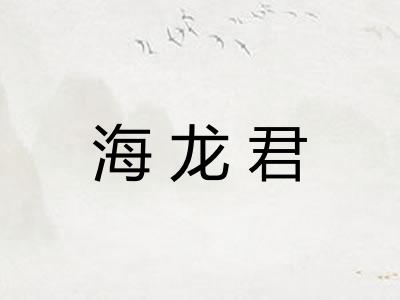 海龙君