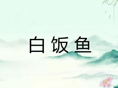 白饭鱼