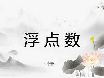 浮点数