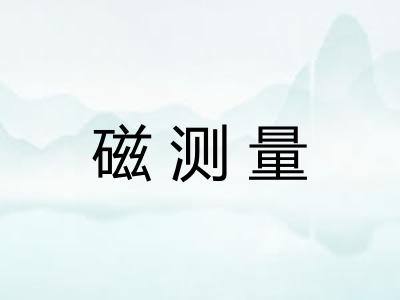 磁测量