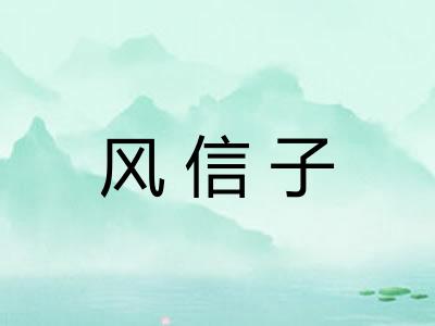 风信子