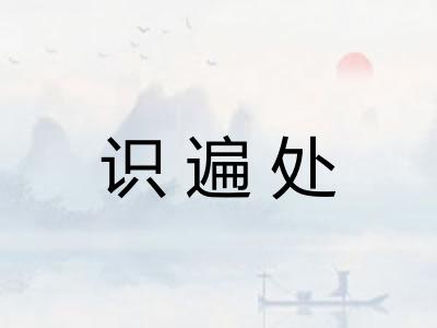 识遍处