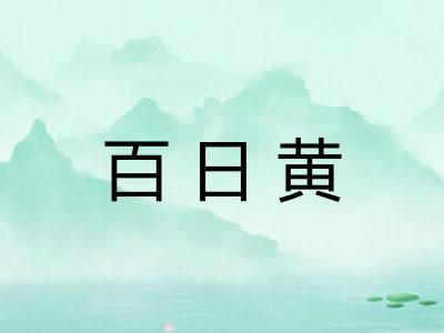 百日黄