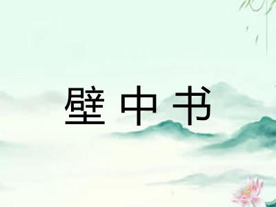 壁中书