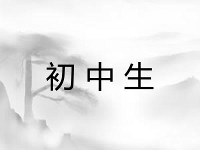 初中生