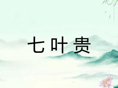 七叶贵