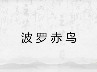 波罗赤鸟