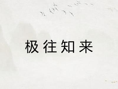 极往知来