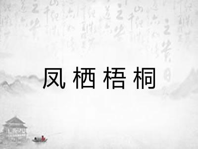 凤栖梧桐