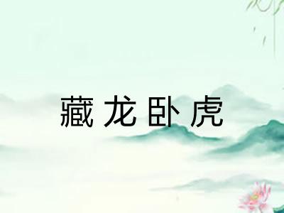 藏龙卧虎