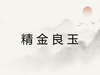精金良玉