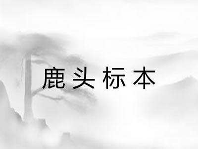 鹿头标本