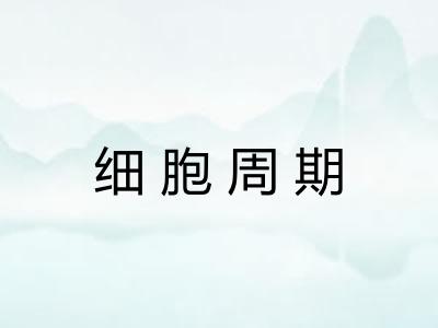 细胞周期