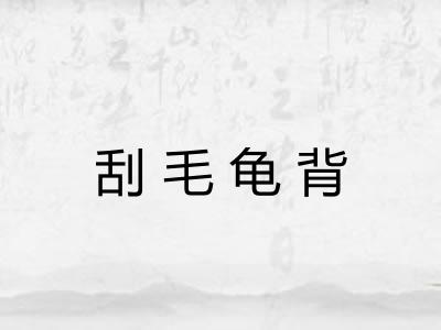 刮毛龟背