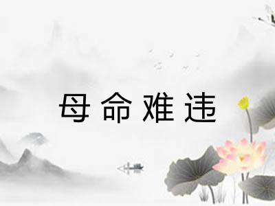 母命难违
