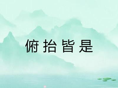 俯抬皆是